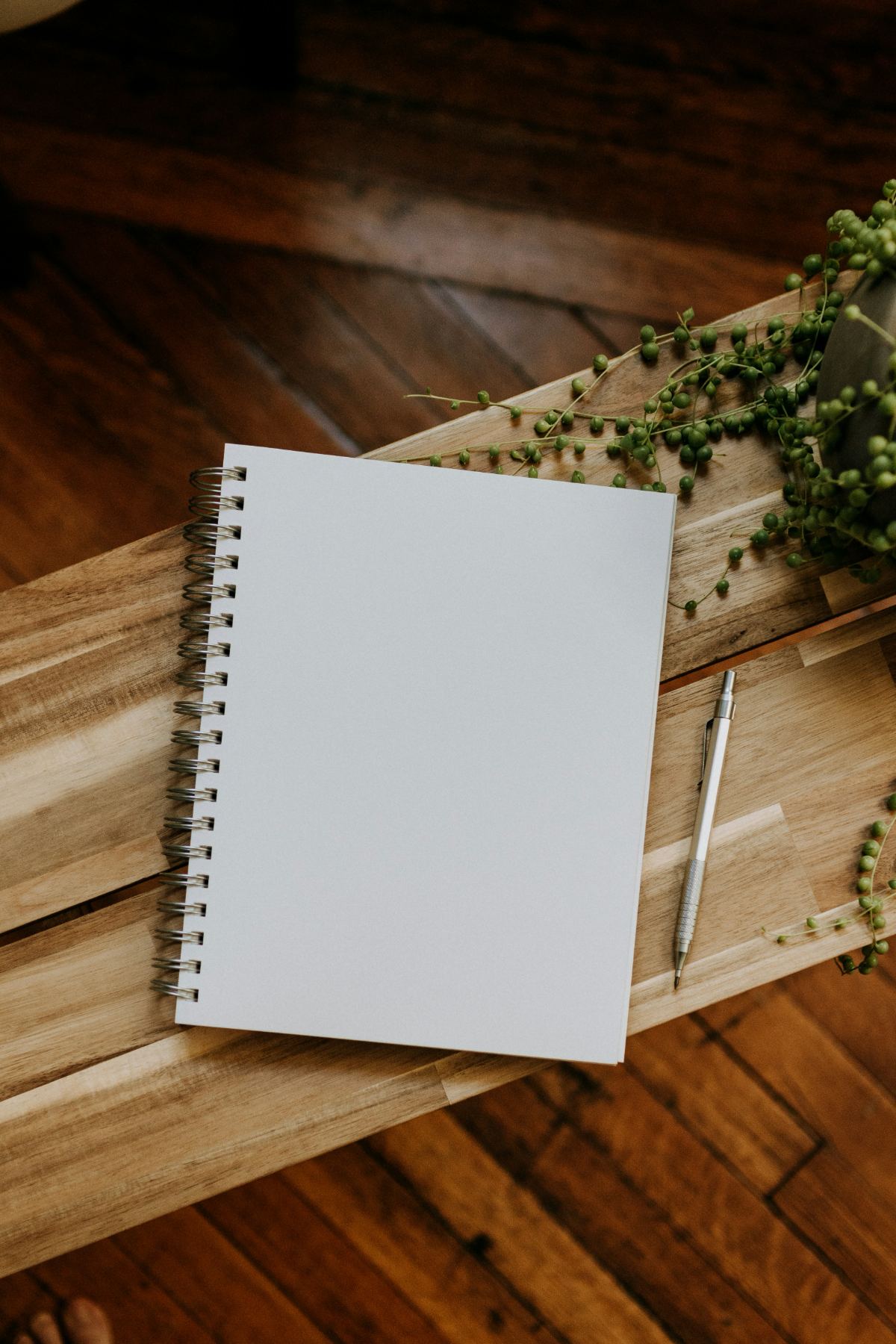 Notebooks and a pen on a warm desk